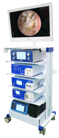 Endoscopy Camera Viewer